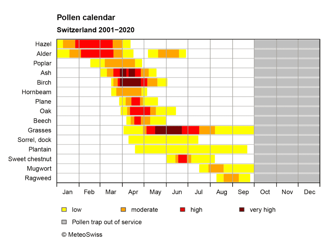 Pollen calendar Swissallergy